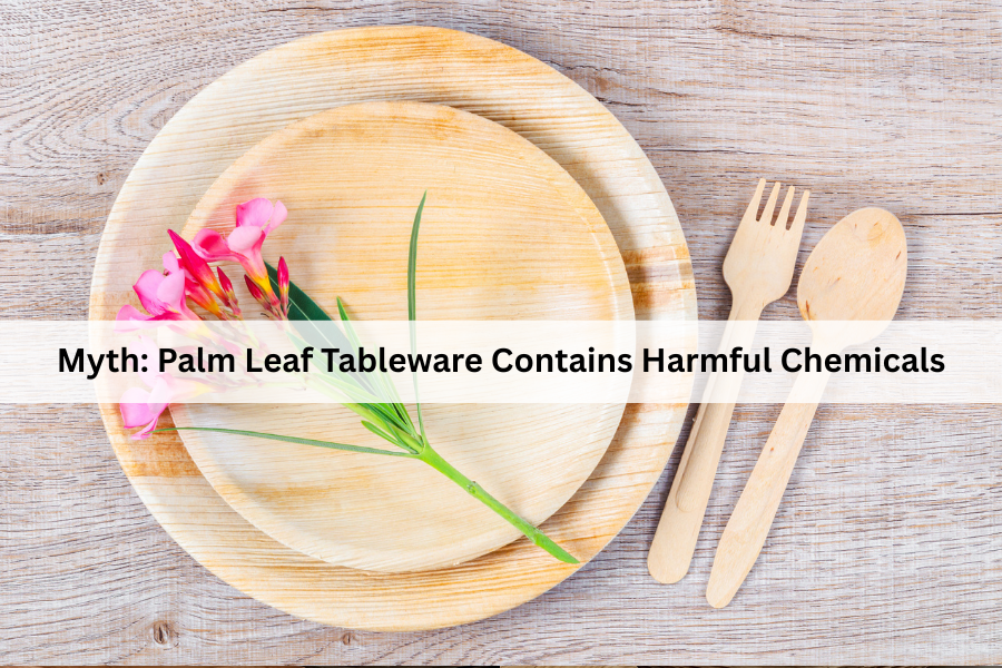 palm leaf tableware myths toxic