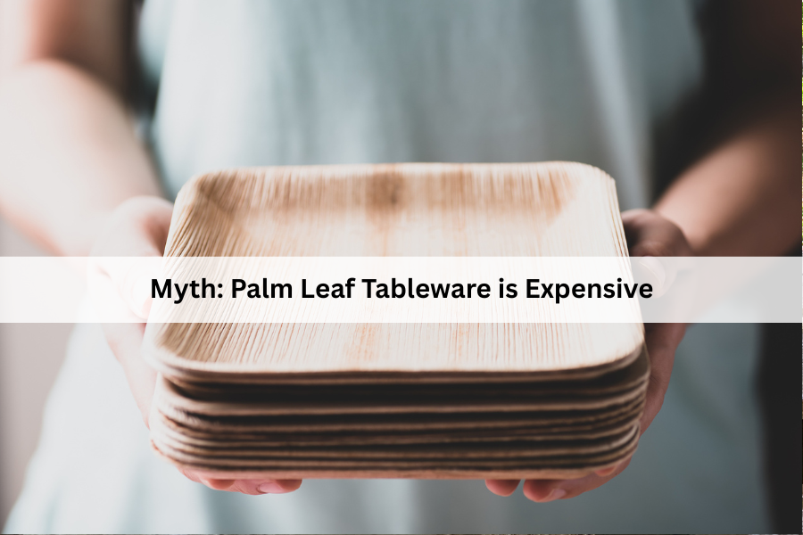 palm leaf tableware myths expensive
