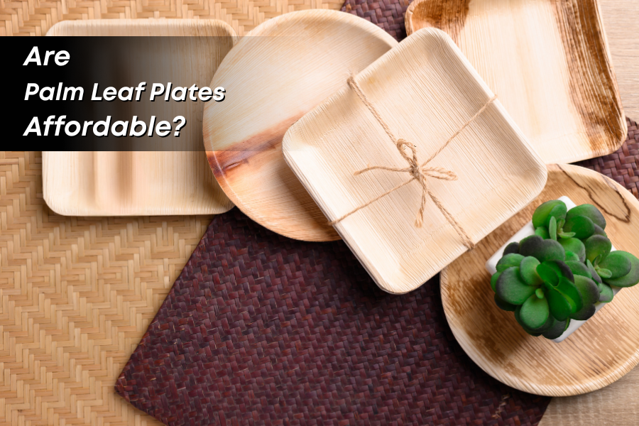 Breaking Down the Costs: Are Palm Leaf Plates Affordable?