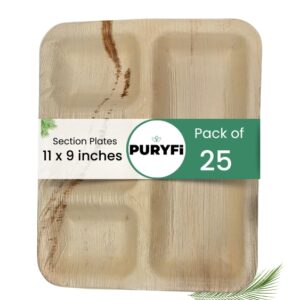 Palm Leaf Section Plates - Rectangle, 11x9 inches (Pack of 25)