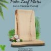 Palm Leaf Plates - Rectangle, 6x9 inches (Pack of 25) - Image 2