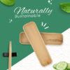 Palm Leaf Sushi Platter – 12x3 inches (Pack of 25) - Image 4