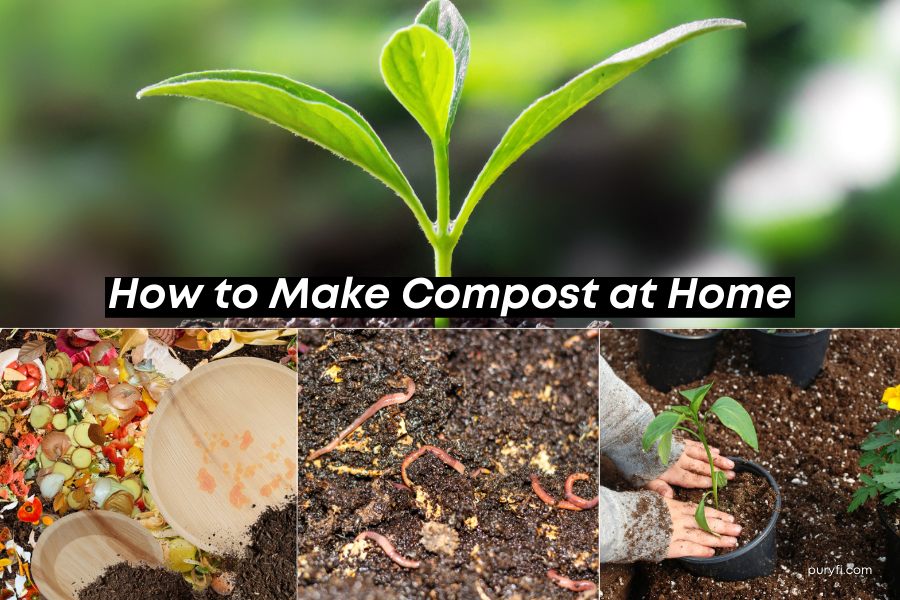 How to Make Compost at Home: A Step-by-Step Guide to Sustainable Living