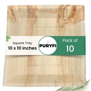 Palm Leaf Tray - Square, 10-inch (Pack of 10)