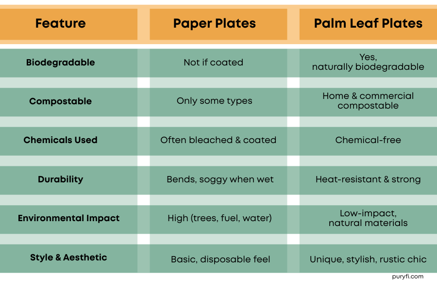 comparison of palm leaf plates and paper plates