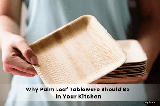 Why Palm Leaf Tableware Should Be in Your Kitchen