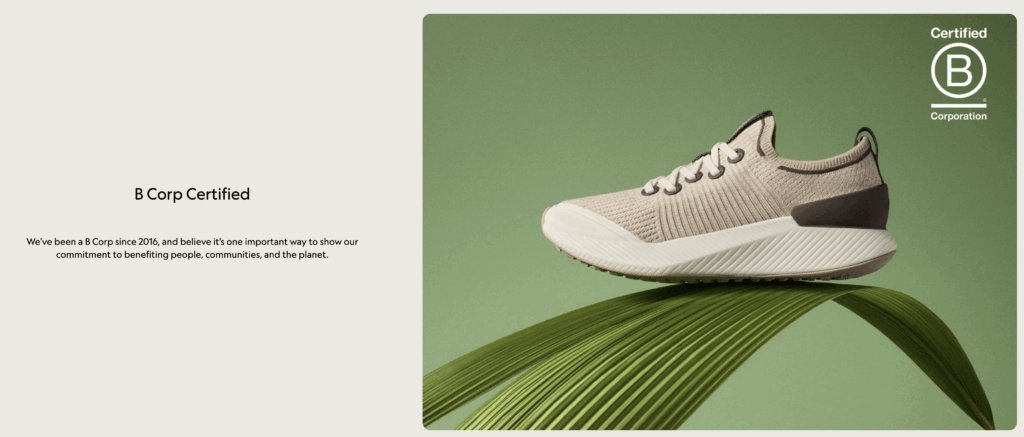 Allbirds – Low-Carbon Footprint Footwear for Green Lifestyle